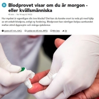 Radio: Blodprovet visar om du är morgon - eller kvällsmänniska